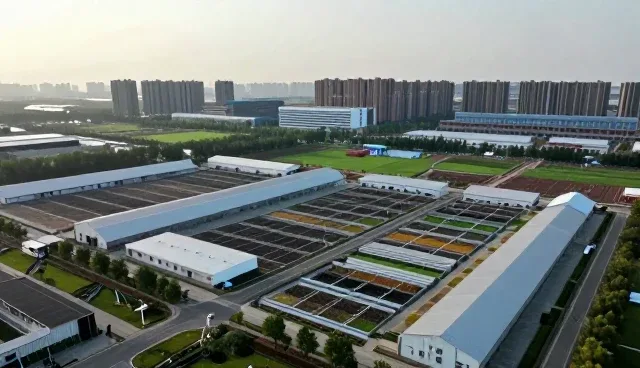 账号定位在品牌策划中的关键作用与发展趋势